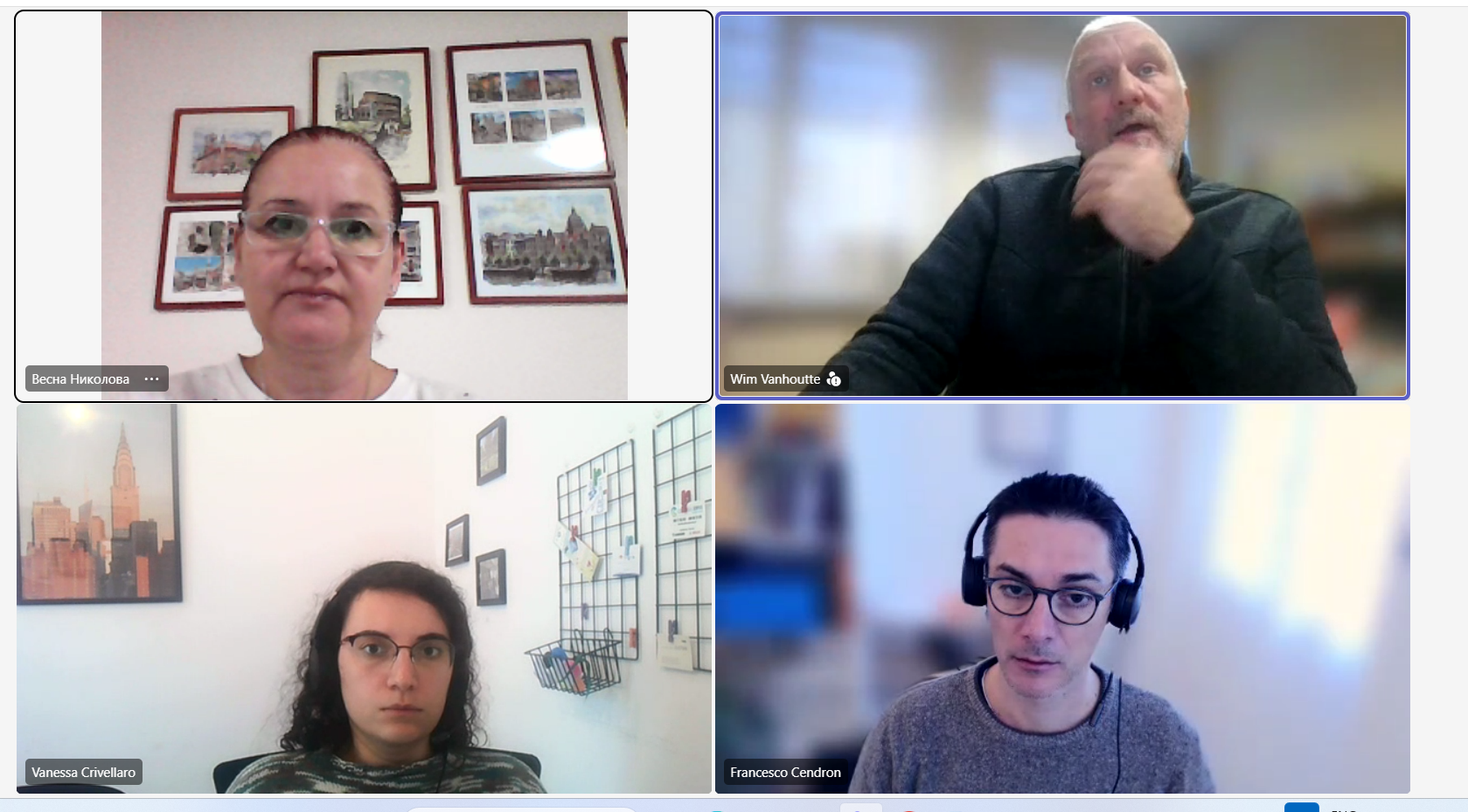 Online project meeting screenshot 1