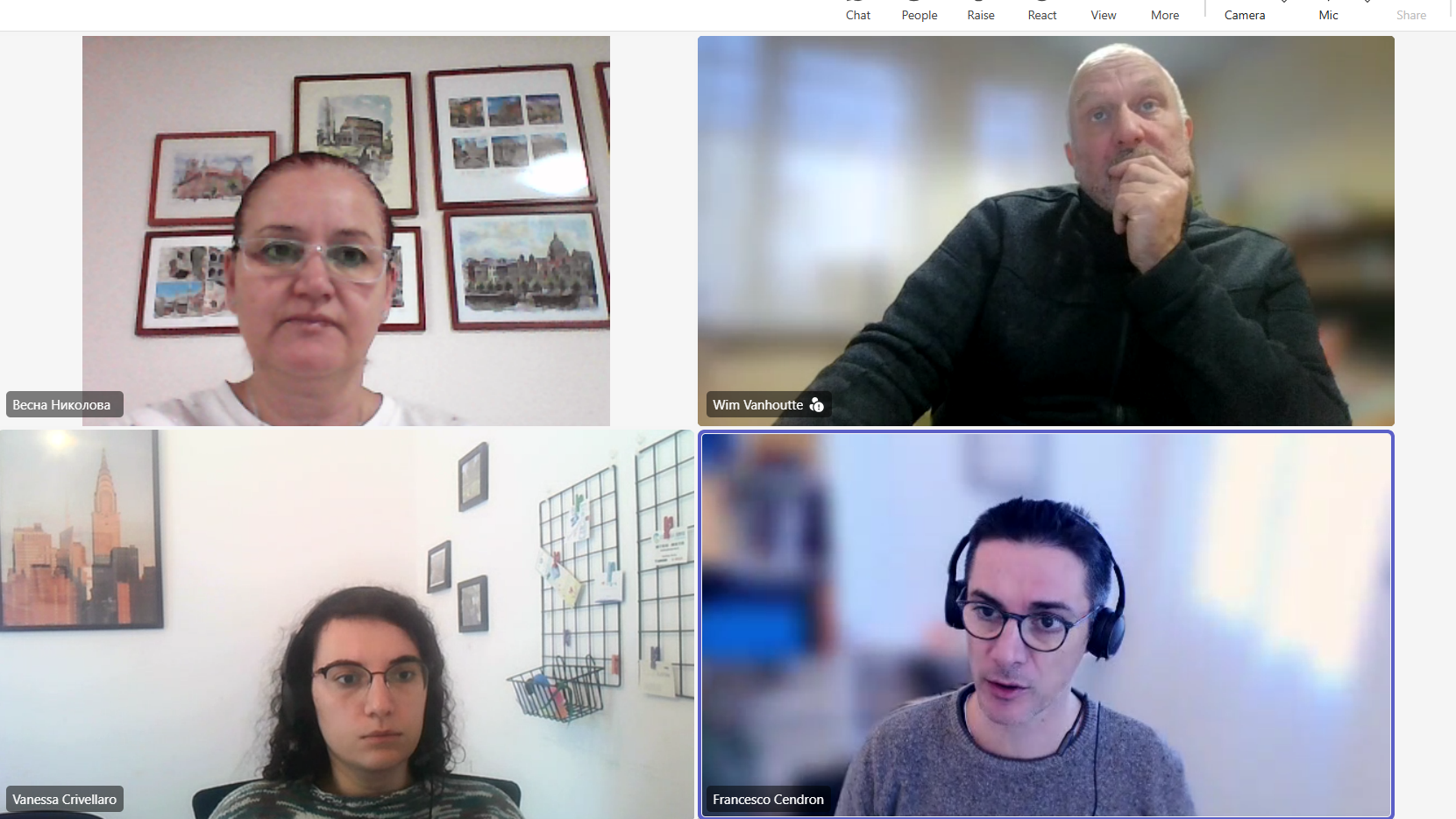 Online project meeting screenshot 3