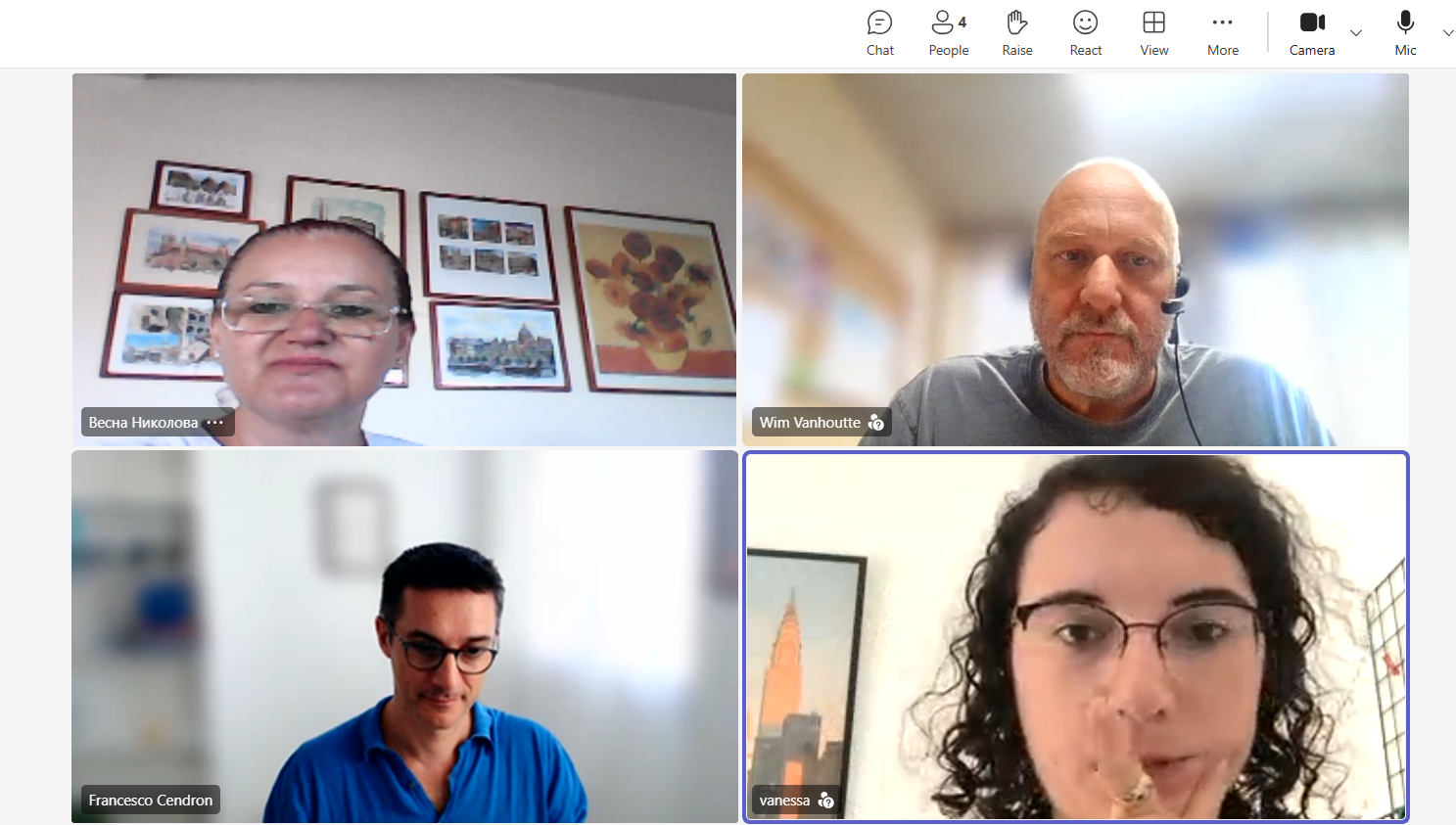 Online project meeting 10 July 2026 — screenshot 8