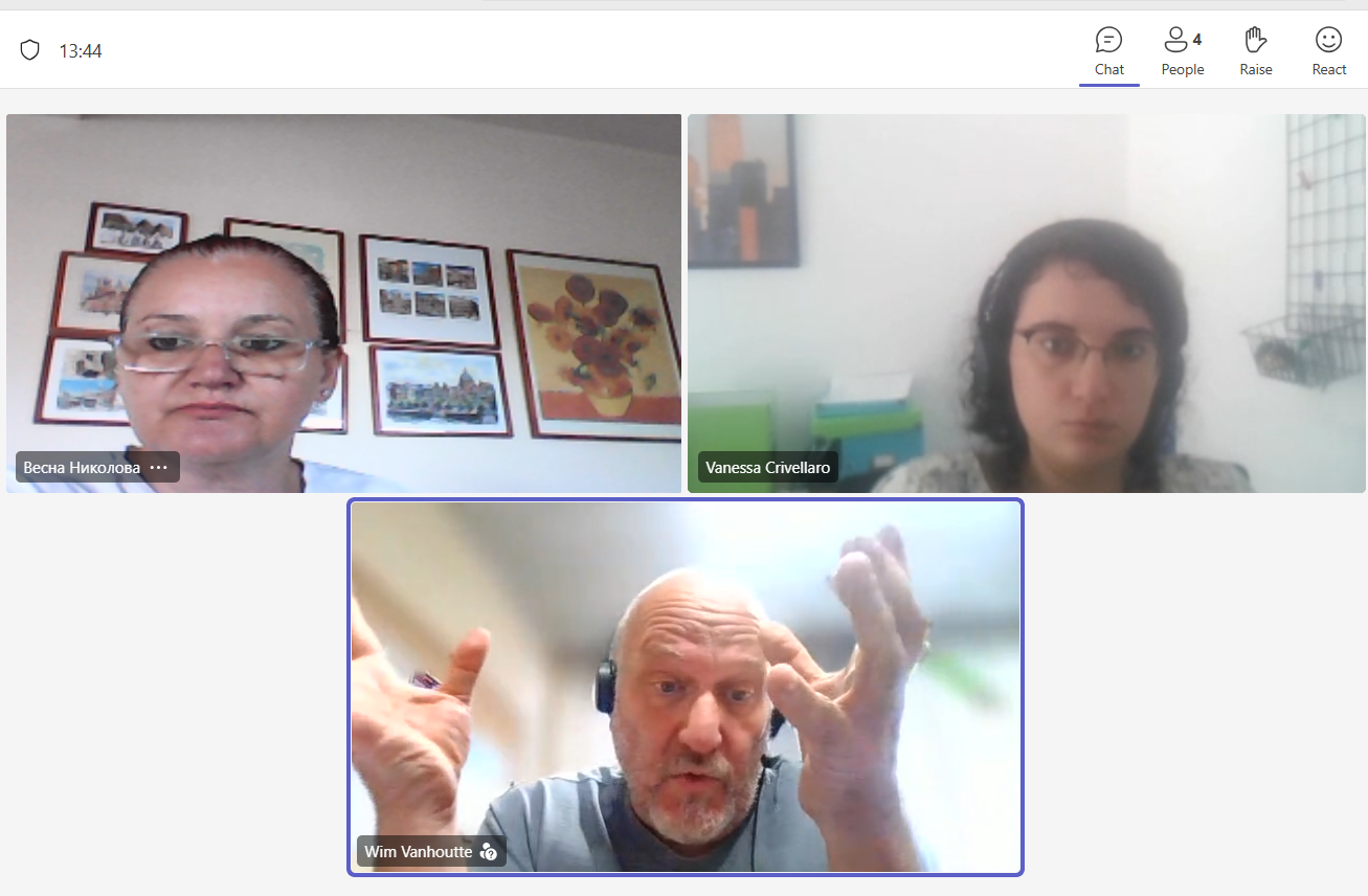Online project meeting 10 July 2026 — screenshot 5