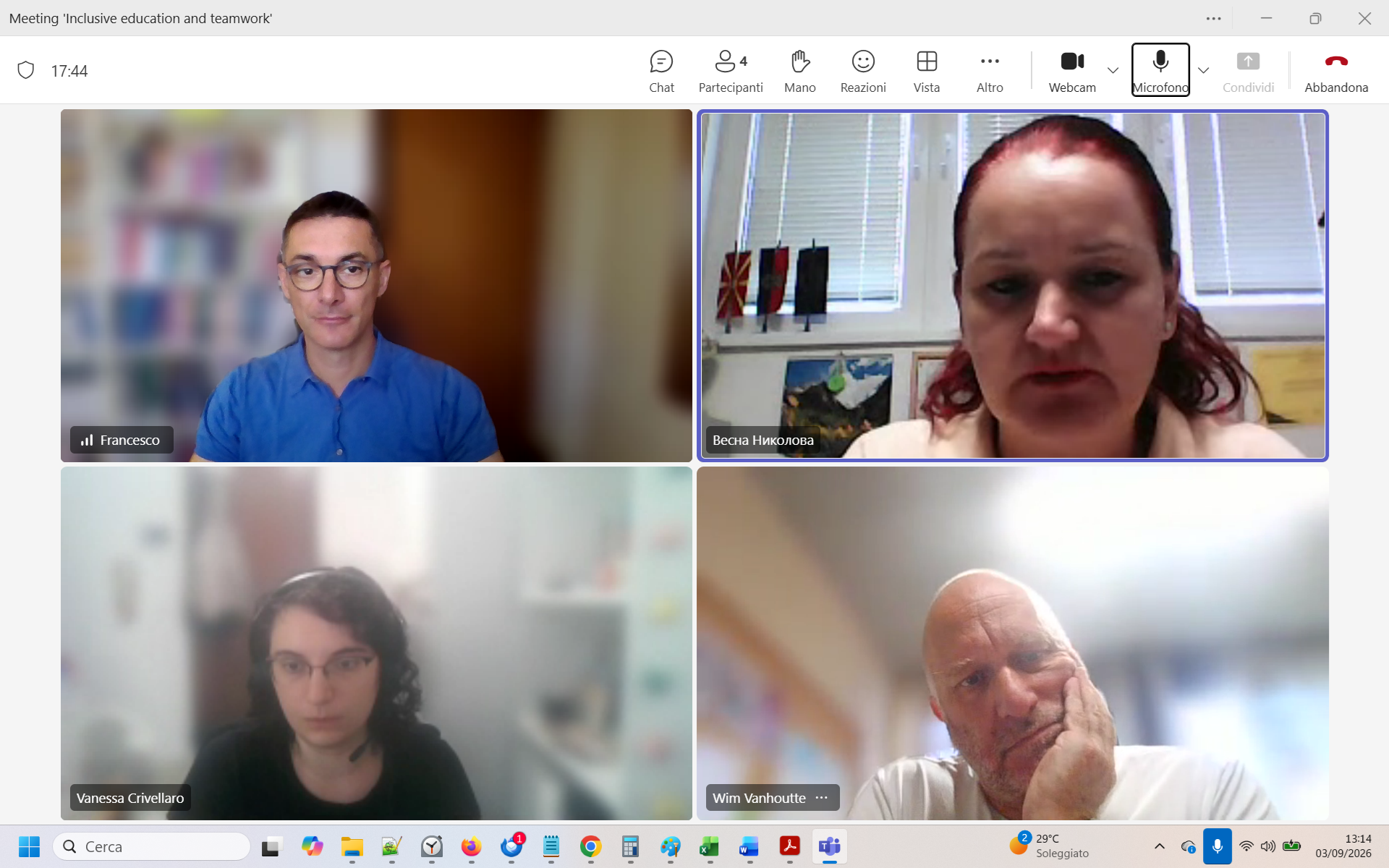 Online project meeting 3 September 2026 — screenshot 3