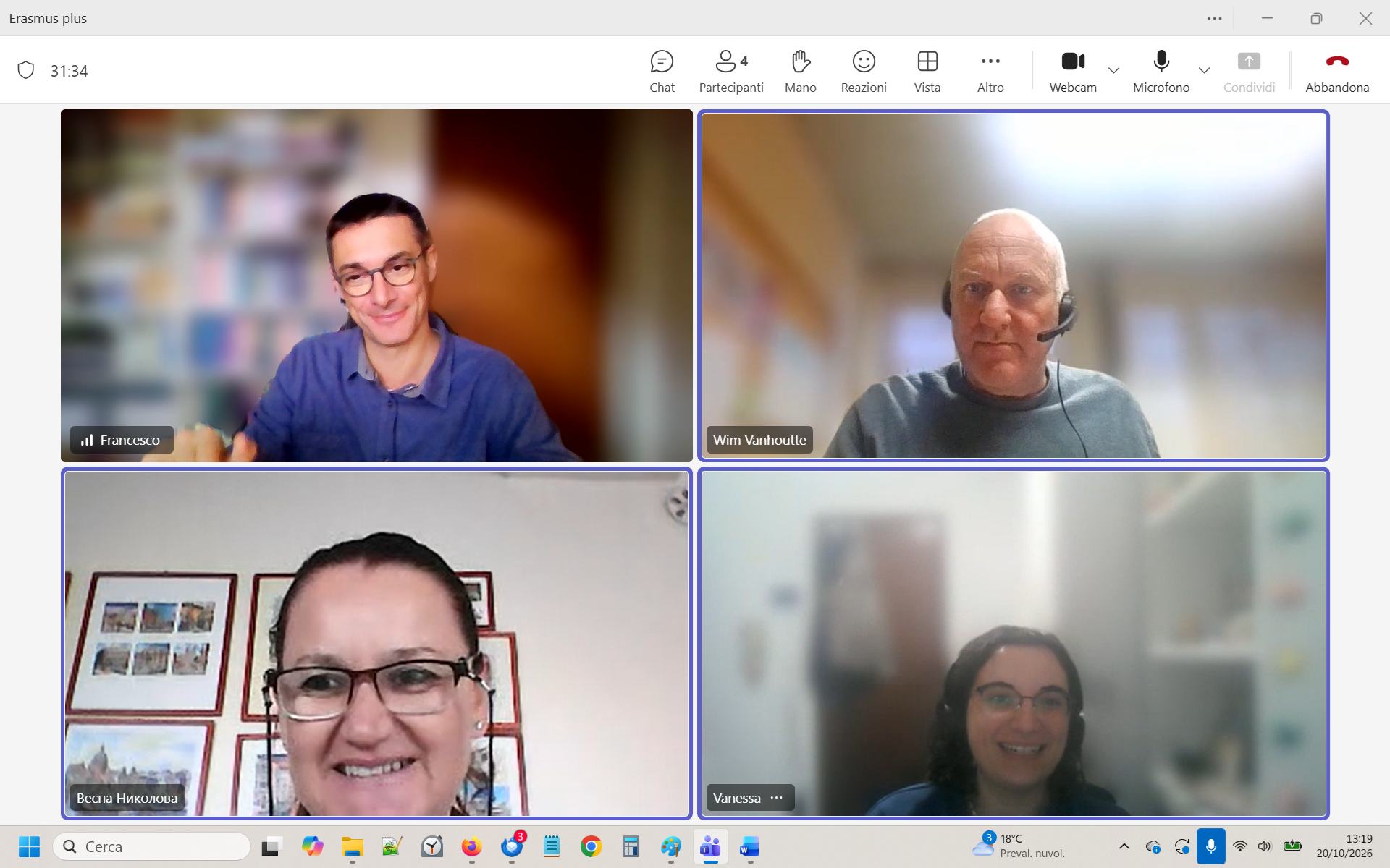 Project partners concluding the online meeting